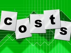 Caister Bowls Club expenses